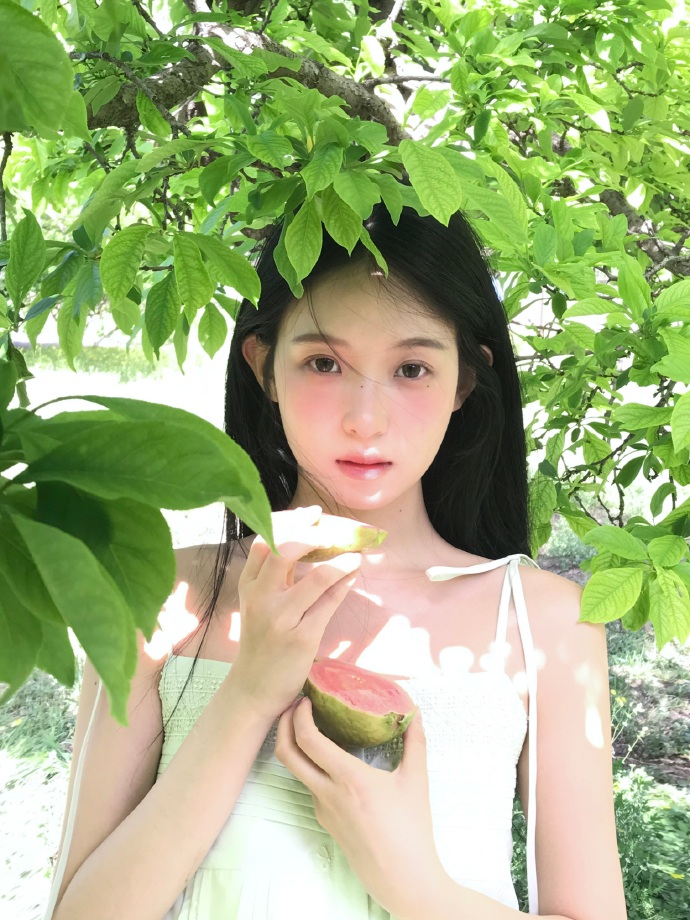 阿甘正传 封面